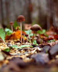 Similar image 2734646