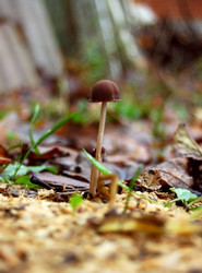 Similar image 2734647