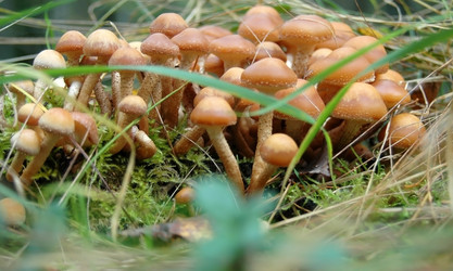 Similar image 2734651