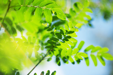 Similar image 2749678