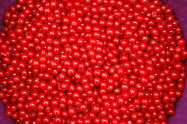 Similar image 2749685