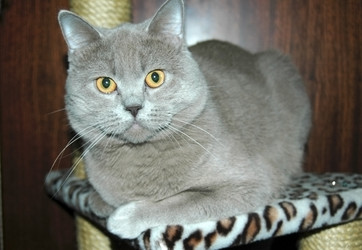 Similar image 2749686