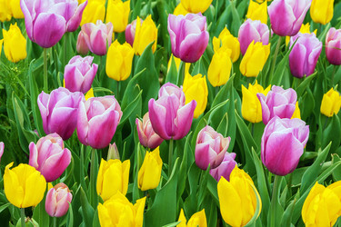 Similar image 2750041