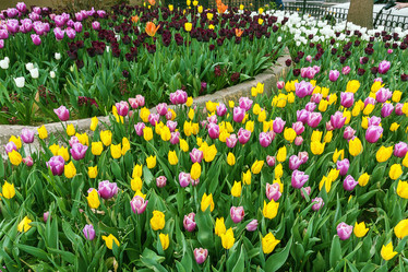 Similar image 2750042