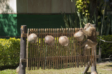 Similar image 2750267