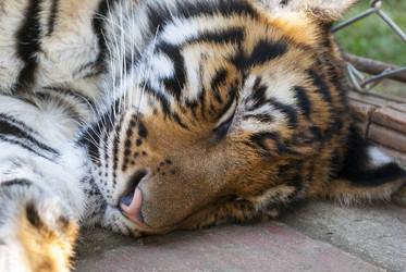 Similar image 2750269