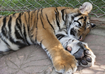 Similar image 2750278