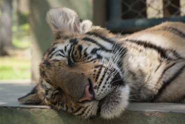 Similar image 2750279