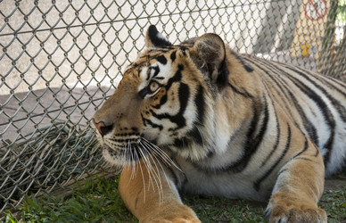 Similar image 2750280