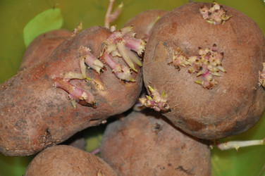 Similar image 2750365