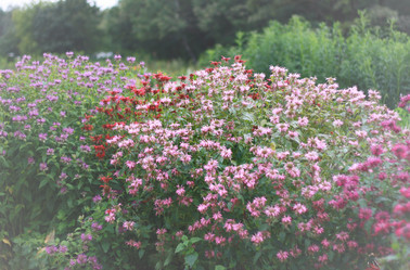 Similar image 2750379