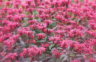 Similar image 2750383