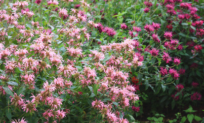 Similar image 2750385