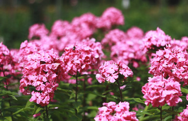 Similar image 2750388