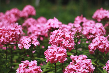 Similar image 2750390