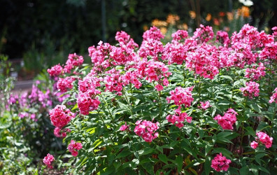 Similar image 2750392