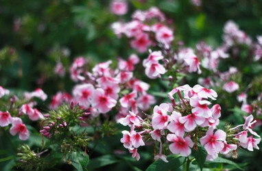 Similar image 2750394