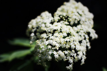 Similar image 2750404