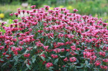 Similar image 2750405