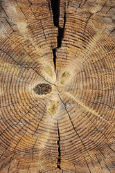 Similar image 2750431