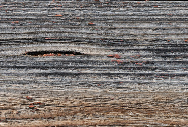 Similar image 2750436