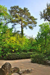 Similar image 2750438