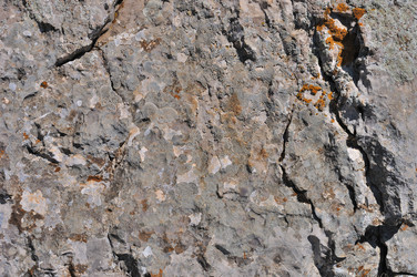 Similar image 2750441