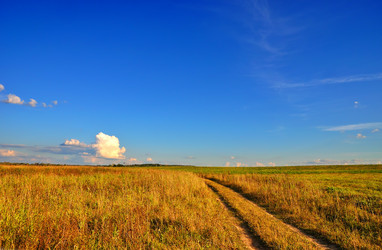 Similar image 2750443