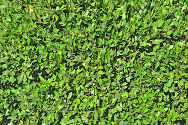 Similar image 2750444