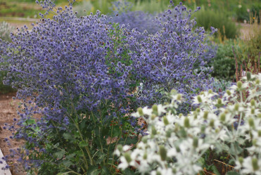 Similar image 2750461