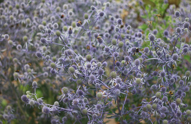 Similar image 2750462