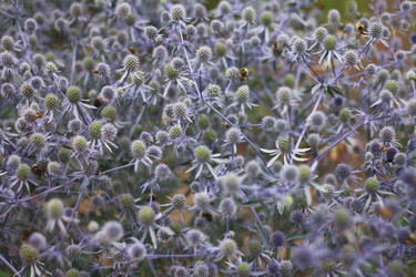 Similar image 2750463