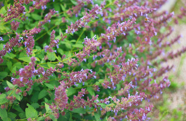 Similar image 2750464