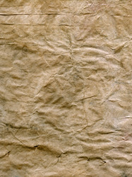 Similar image 2750481