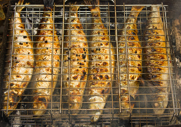 Similar image 2750679