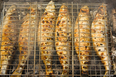 Similar image 2750682