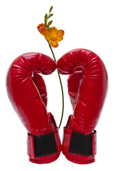 Similar image 2750756