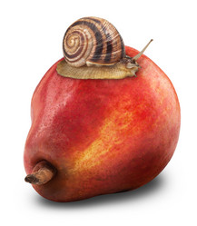 Similar image 2750820