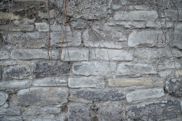 Similar image 2750912