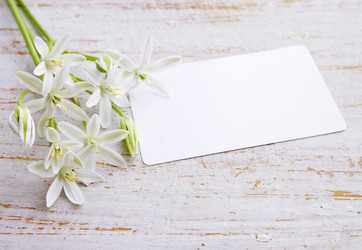 Similar image 2751257