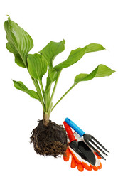 Similar image 2751263