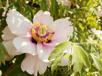 Similar image 2751337