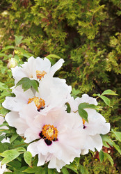 Similar image 2751344