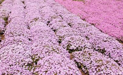 Similar image 2751416