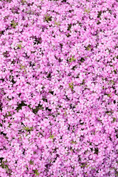 Similar image 2751424