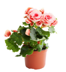 Similar image 2751425