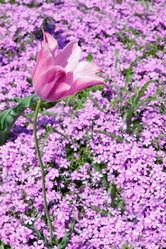 Similar image 2751427