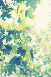 Similar image 2751436