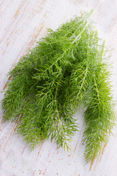 Similar image 2751454