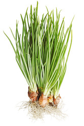 Similar image 2751455